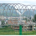 Proveedor de Anping Galvanized Razor / Barbed wire